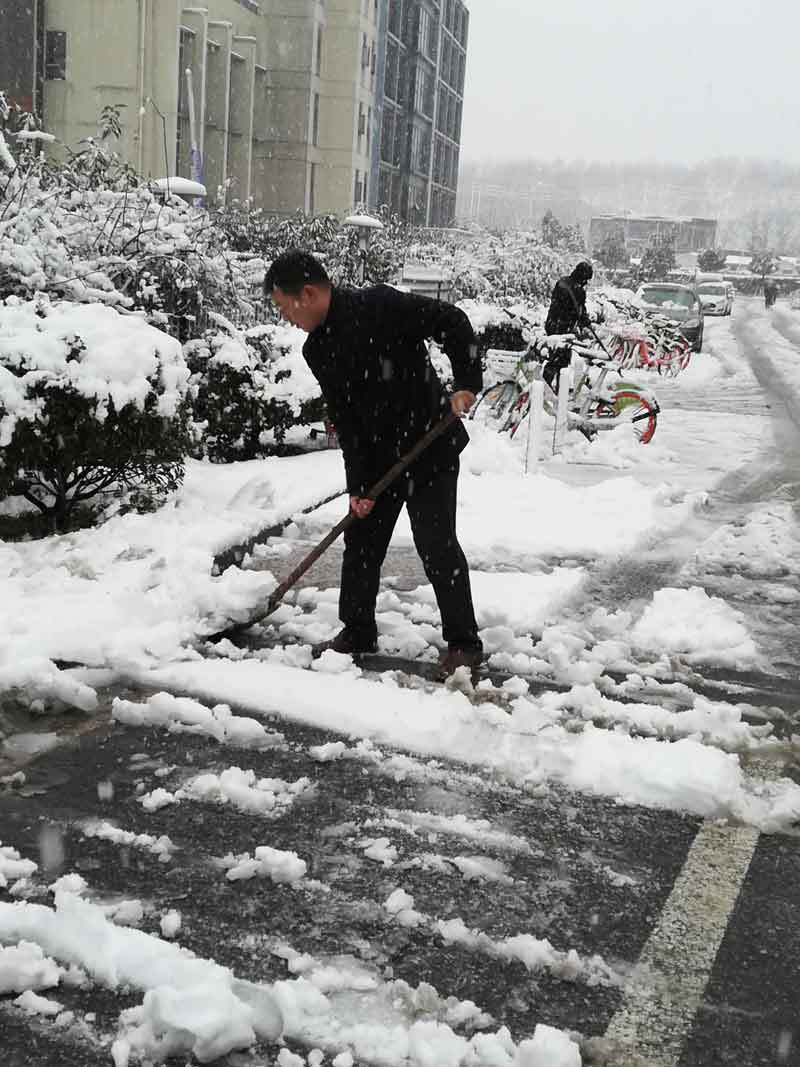 暴雪过后